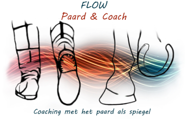 Logo FLOW Paard & Coach